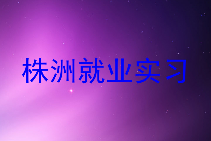 株洲就业实习