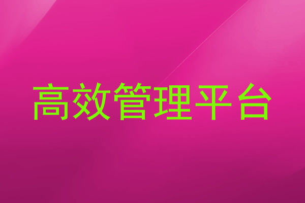 高效管理平台