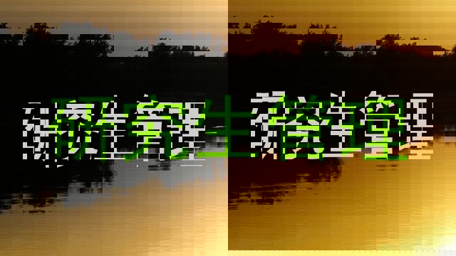 研究生管理