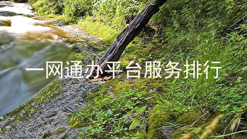一网通办平台服务排行