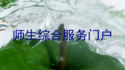 师生综合服务门户