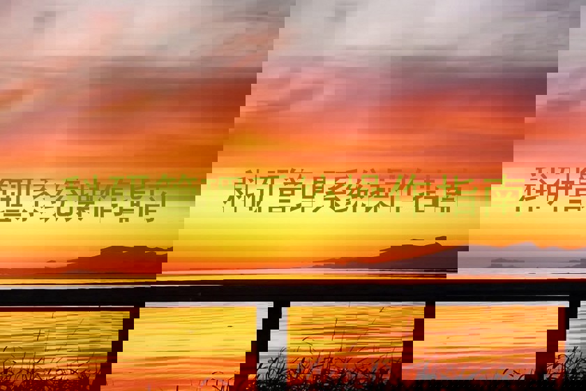 科研管理系统操作指南