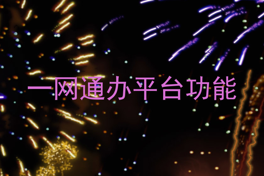 一网通办平台功能