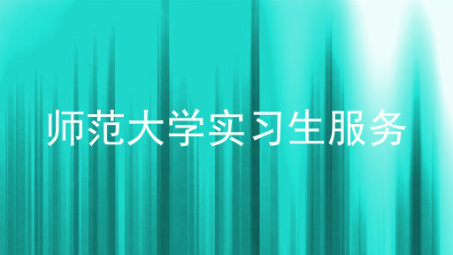 师范大学实习生服务
