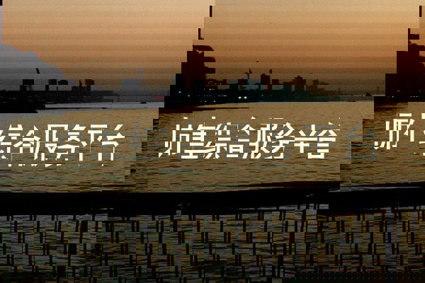 师生综合服务平台