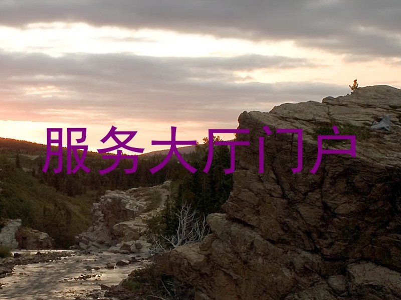 服务大厅门户