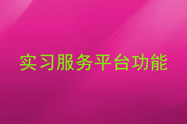 实习服务平台功能