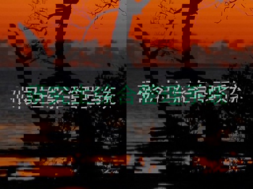 研究生综合管理系统