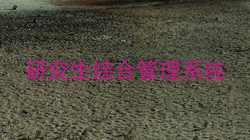 研究生综合管理系统