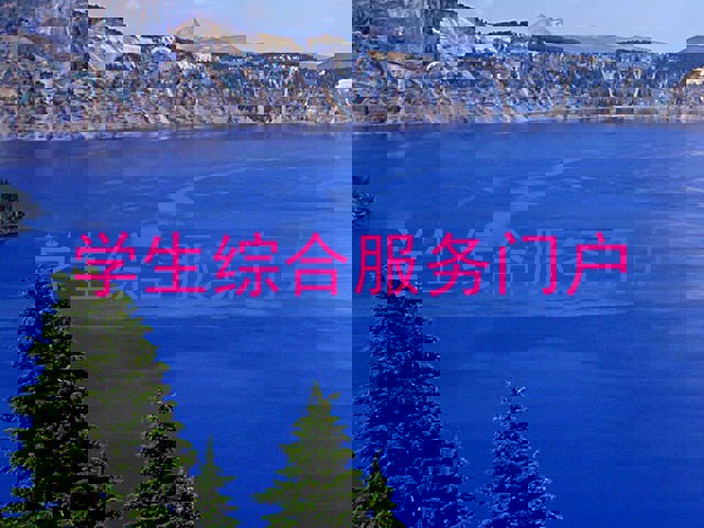 学生综合服务门户