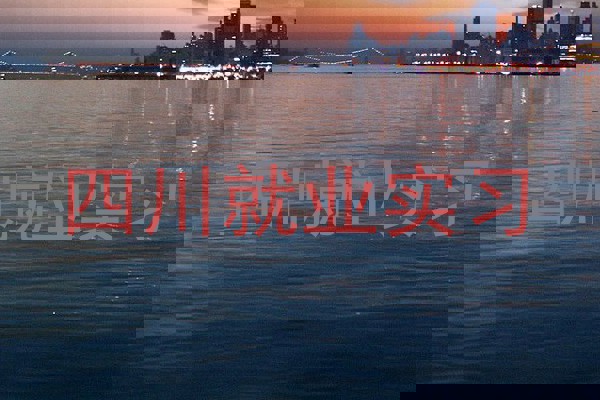 四川就业实习