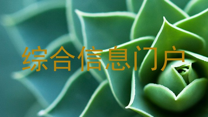 综合信息门户