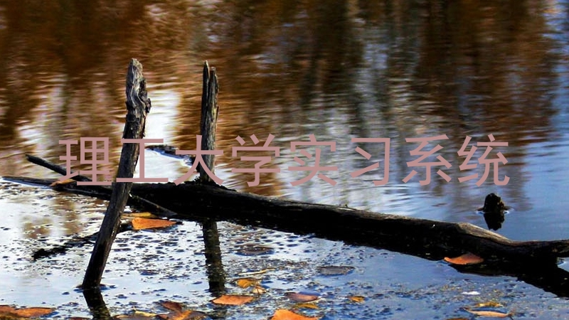 理工大学实习系统