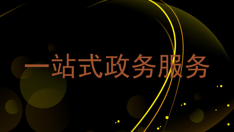 一站式政务服务