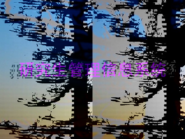 研究生管理信息系统