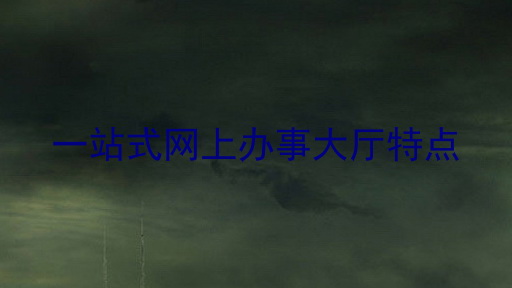 一站式网上办事大厅特点