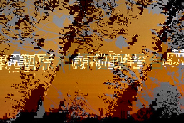 南京科研管理平台