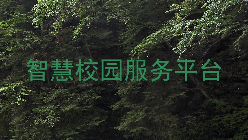 智慧校园服务平台