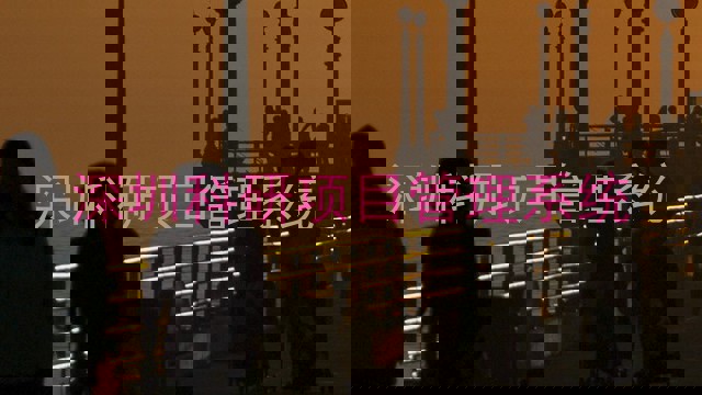 深圳科研项目管理系统