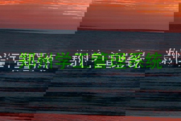 郑州学工管理系统
