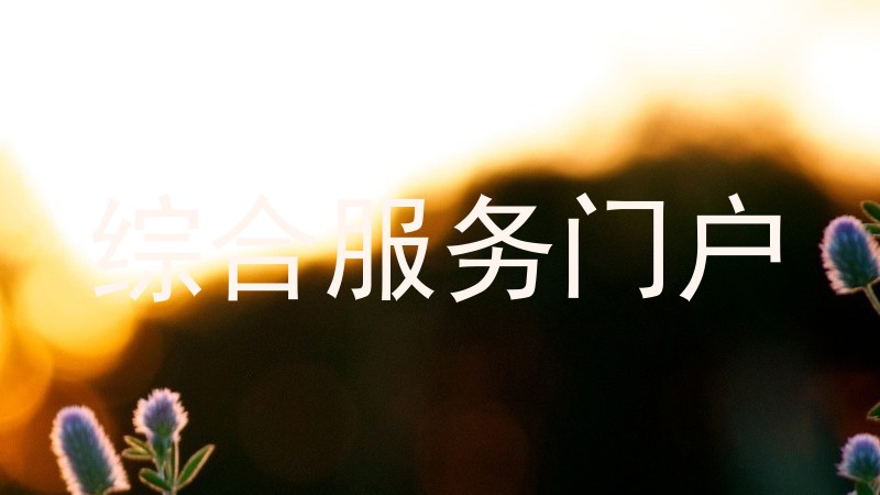 综合服务门户