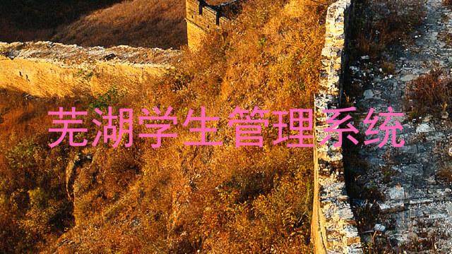 芜湖学生管理系统