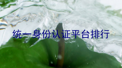 统一身份认证平台排行