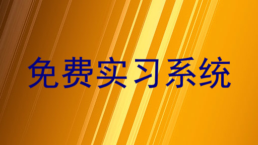 免费实习系统