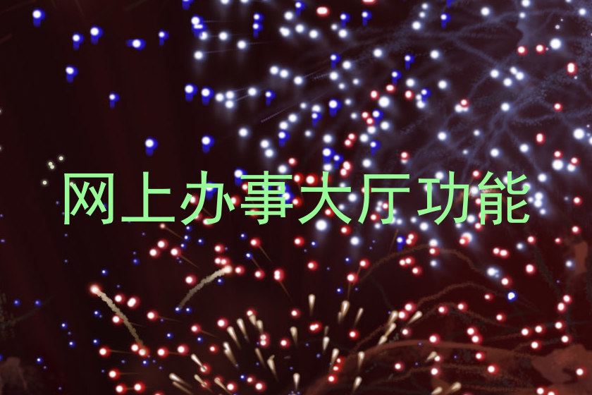 网上办事大厅功能