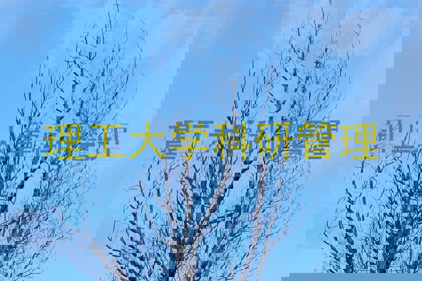 理工大学科研管理