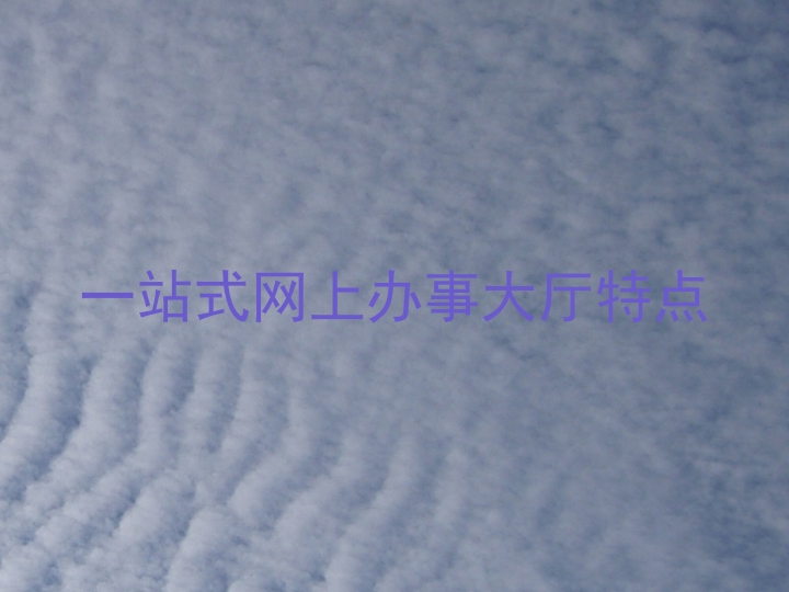 一站式网上办事大厅特点