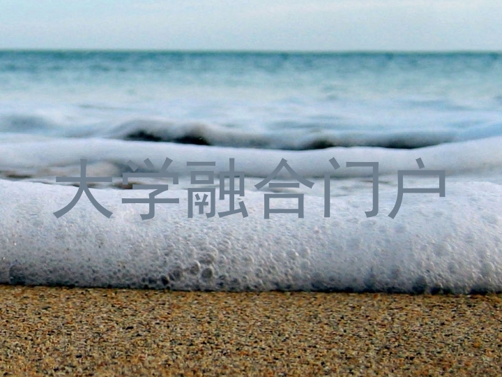 大学融合门户