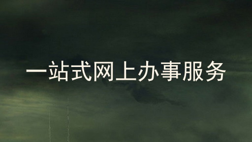 一站式网上办事服务