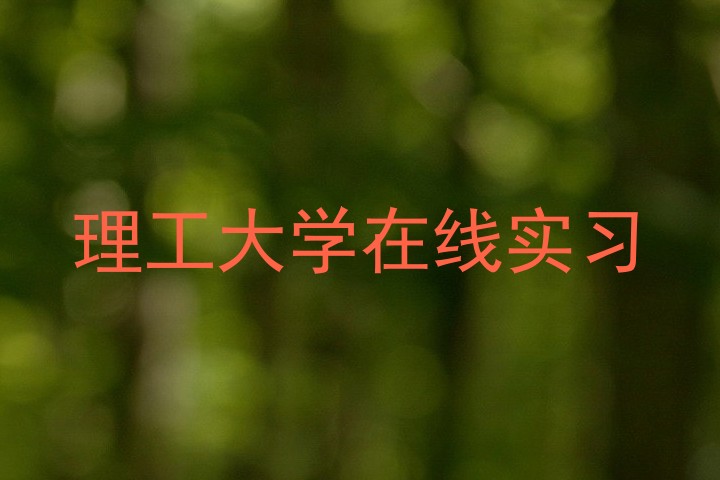 理工大学在线实习
