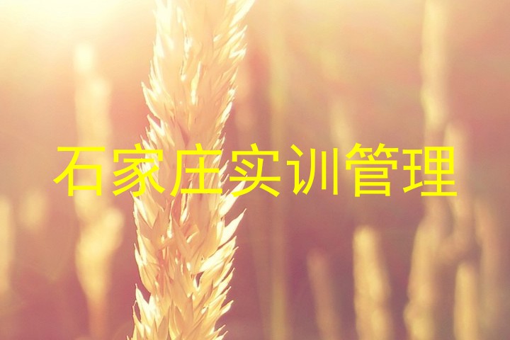 石家庄实训管理