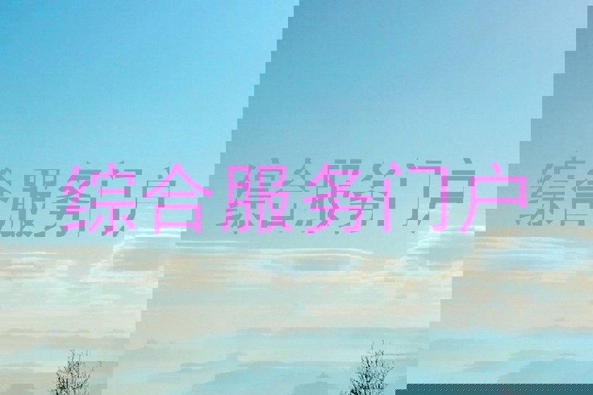 综合服务门户