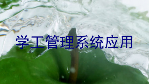 学工管理系统应用