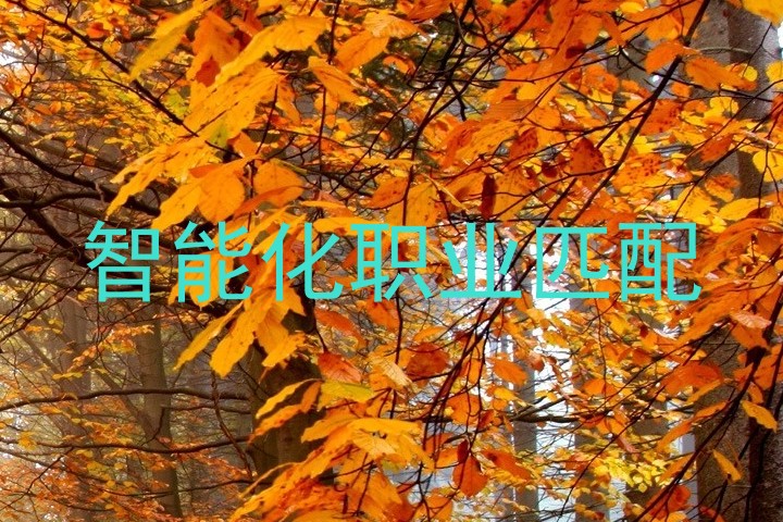 智能化职业匹配