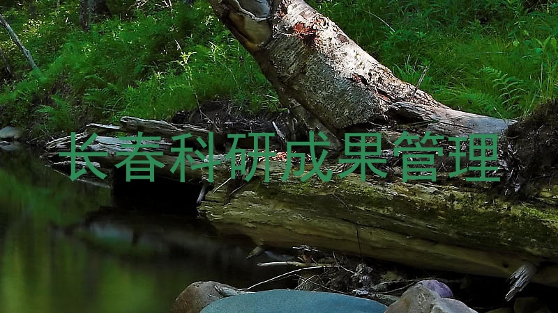 长春科研成果管理