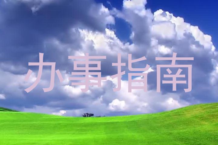 办事指南