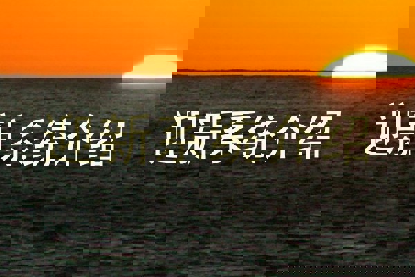 迎新系统介绍