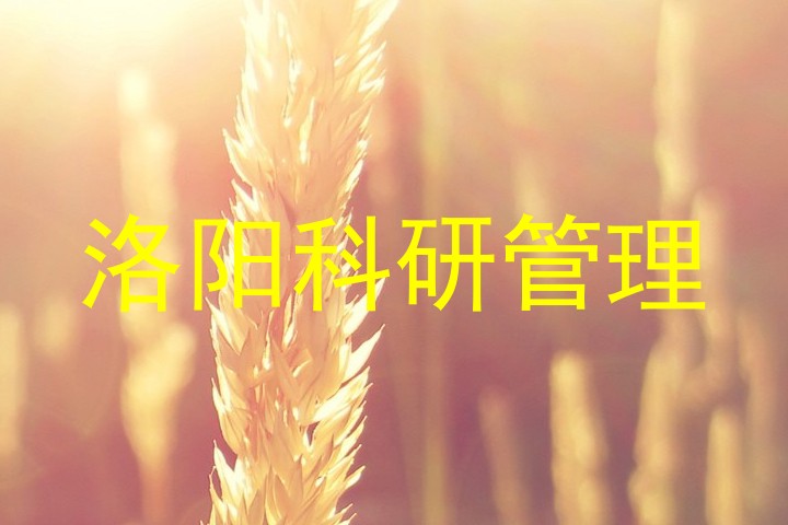 洛阳科研管理