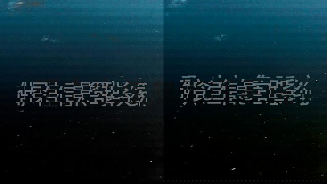 研究生信息管理系统