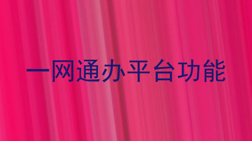 一网通办平台功能
