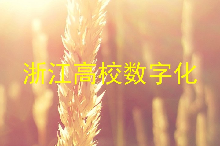 浙江高校数字化