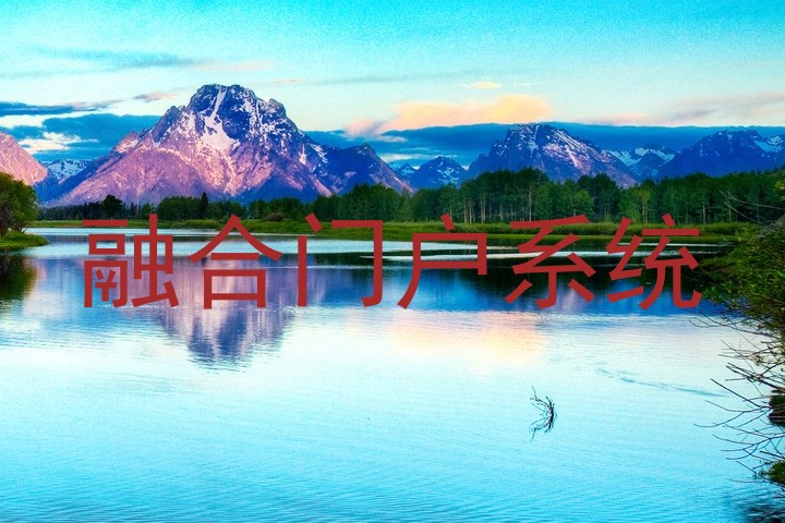 融合门户系统