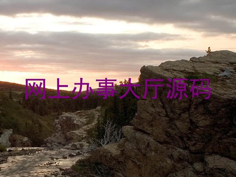 网上办事大厅源码