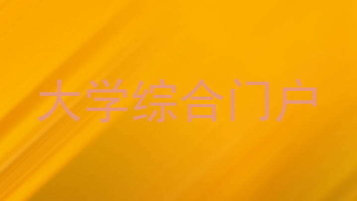 大学综合门户