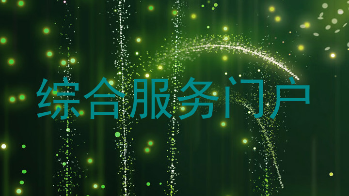 综合服务门户