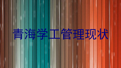 青海学工管理现状